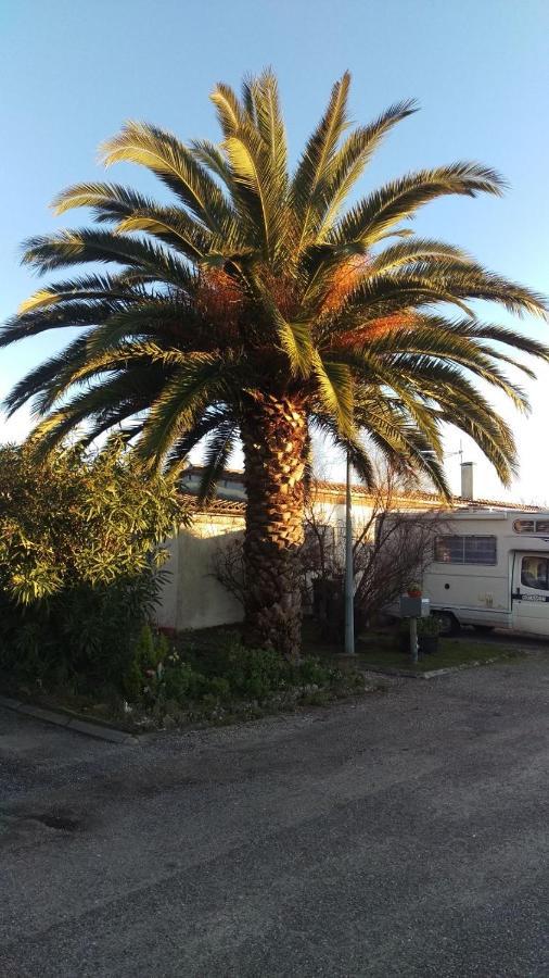 Au Coeur Des Vignobles Acomodação com café da manhã Saint-Estèphe Exterior foto