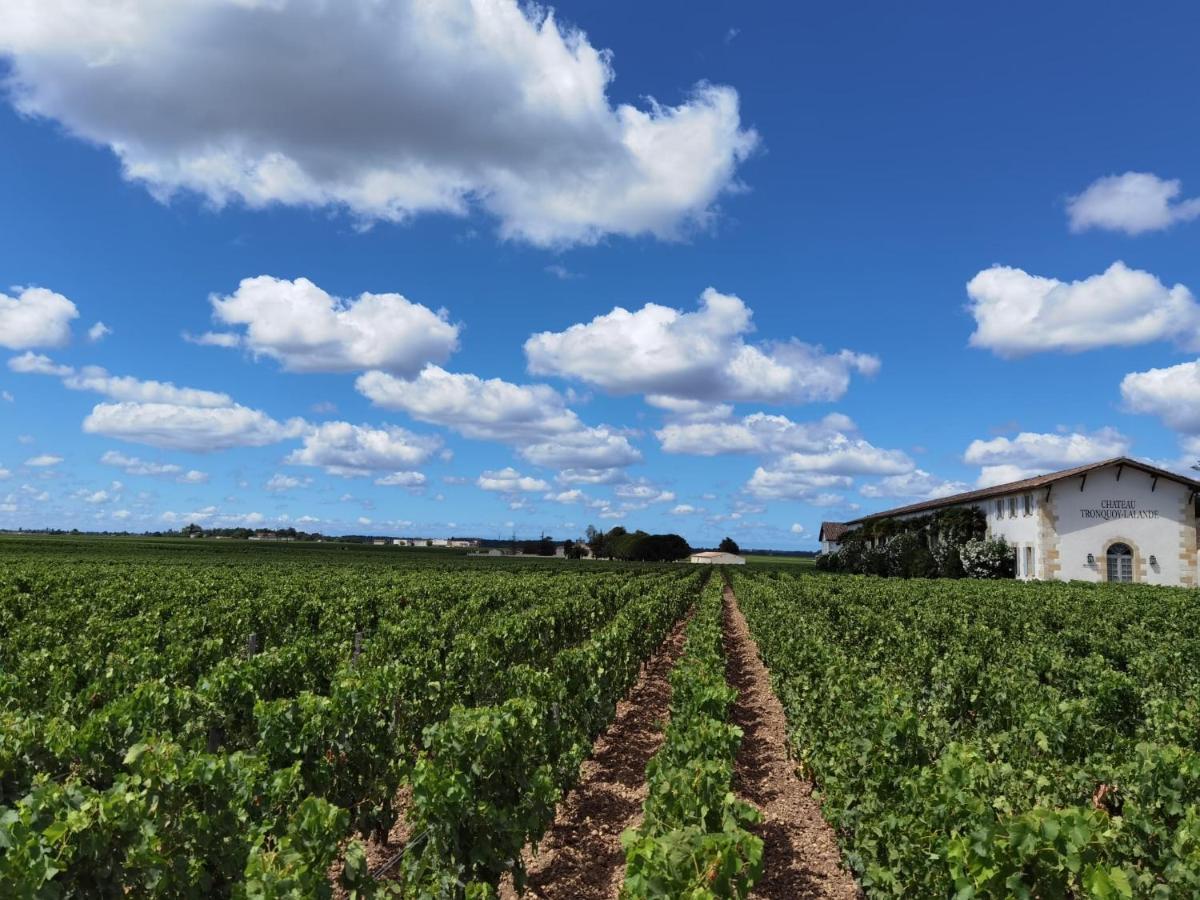 Au Coeur Des Vignobles Acomodação com café da manhã Saint-Estèphe Exterior foto